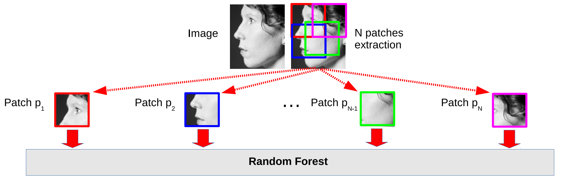 Estimation of head-pose orientation using different face image patches